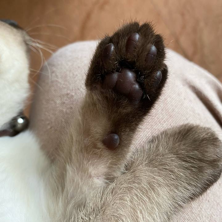 1b220a71 650a 47f0 82c5 f71d49f3e7b3 1687656284599