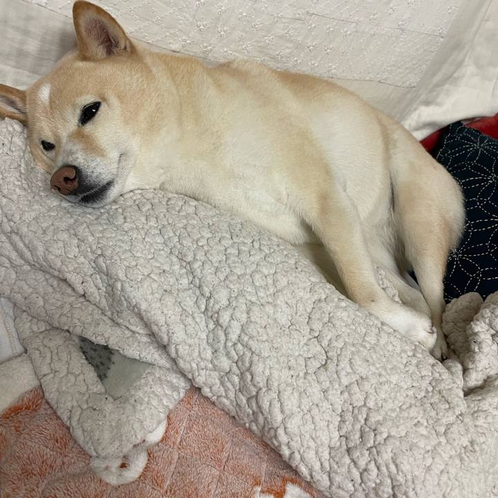 1b2224c1 24d7 4f90 8b88 e1f83dbfe409 1736253598084