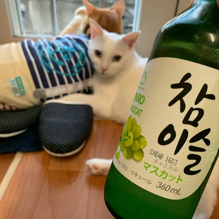 1b222f41 fd60 4f53 a71b 4ff62d7cac09 1597401650206