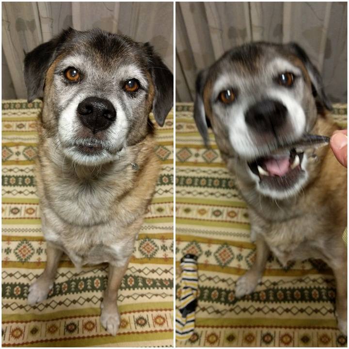 1b226435 b0d1 4d28 b1cc a16f11b24a24 1541930938605