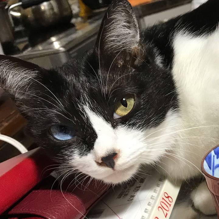 1b226825 993d 4b01 8c8c b90c30b8cad1 1538993322145