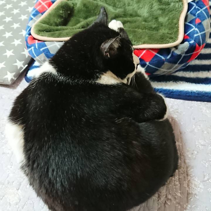 1b229277 52a8 4df7 a946 06f73c0b4d9f 1553147616712