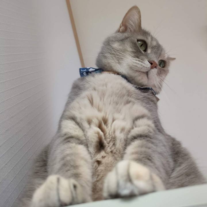 1b22c7ac d32c 4168 b19a 1f8043ae9aeb 1686544863322