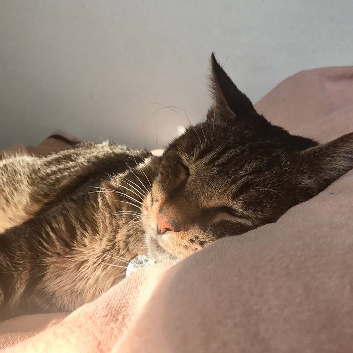 1b22ce97 c5b7 445b a1f0 a43316baab44 1597386260379