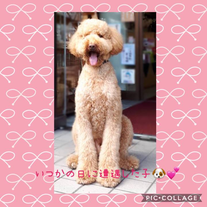 1b22e102 7c92 4442 8d8b 9ac618540a45 1551628231719