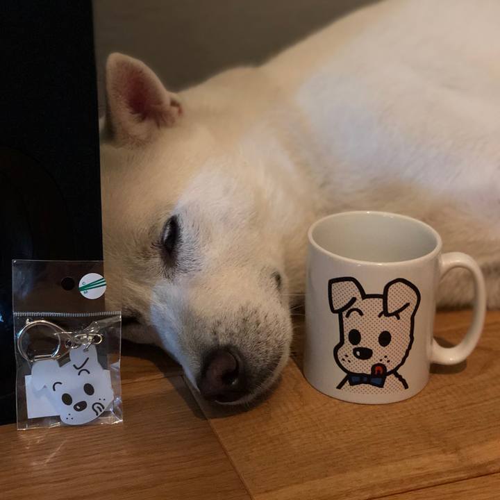 1b230312 dcf4 4302 a2a2 21f11549ea17 1602766993251