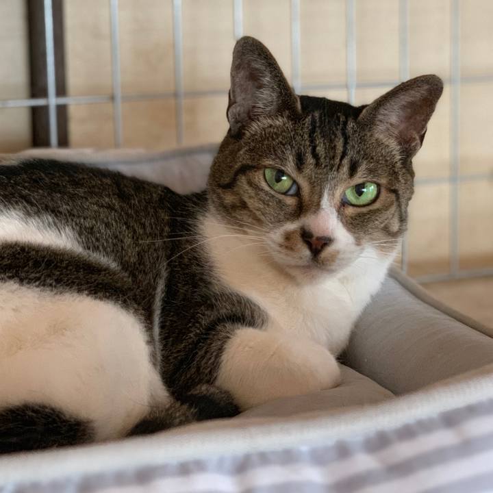 1b231ccd f985 44d3 9212 54b1a4c38b85 1561075661408