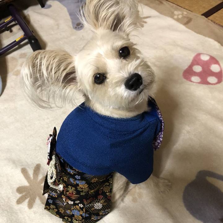 1b2337d3 5aec 407e b082 53e7826d5e56 1540646219802