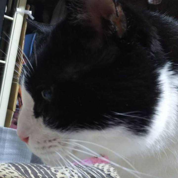 1b238fcd 117b 4acf a0fb 5521c9ea54dd 1582149284149