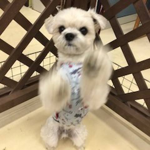 1b23c6cb 3aaf 4764 ae1d 9c0e6d07c88a 1512559771399