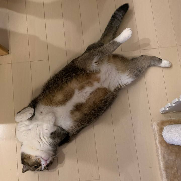 1b23ca5c a656 412f 8e66 54be2e5cdd2d 1577056617995