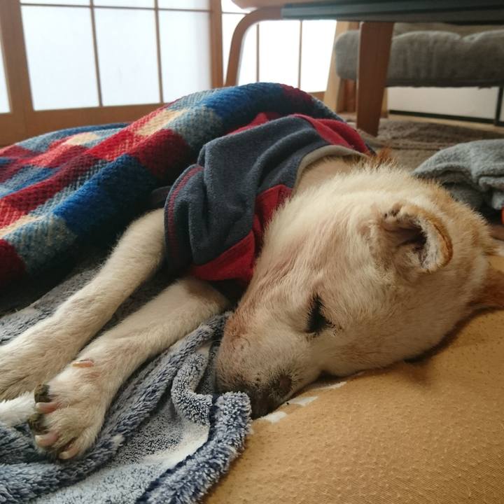 1b23ea69 cea9 47ab 97fc 3286d205a48d 1541223787968