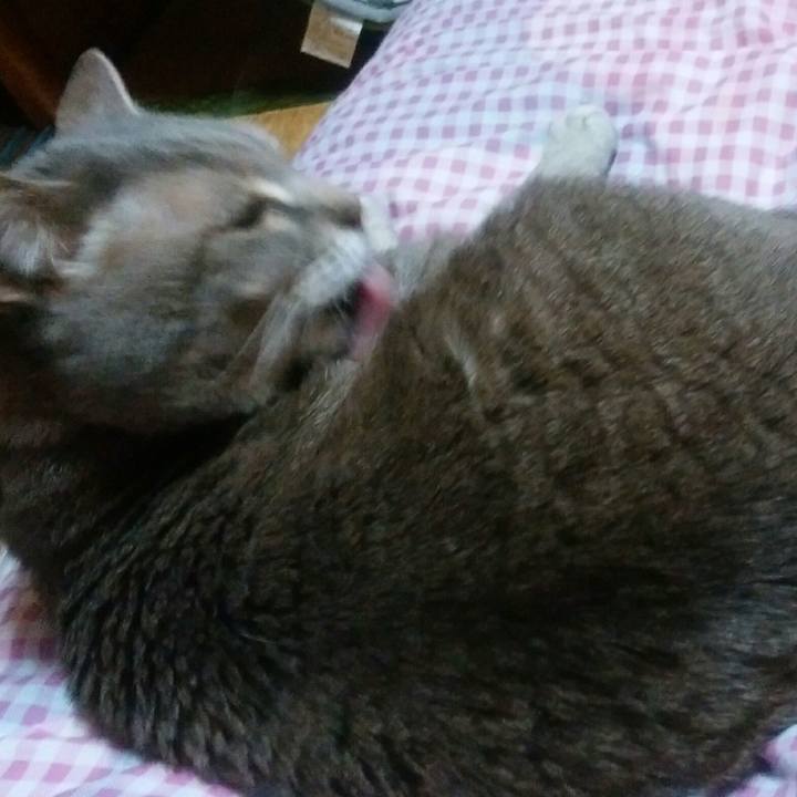 1b23f607 477b 4573 bcef c48e2aa48164 1557232967142