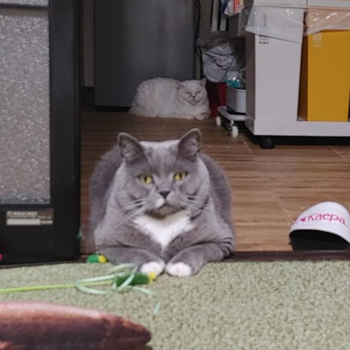 1b2430a2 7427 4494 a7c8 69c2357ed468 1658142647852