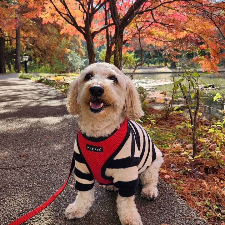 1b24778f 91e1 4506 878f 01f372770f9c 1764726661768