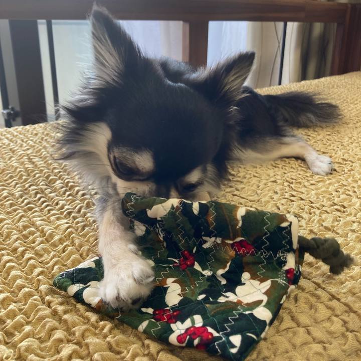 1b249baa 7e19 40be 80bf 0562cd154fc6 1654439133506