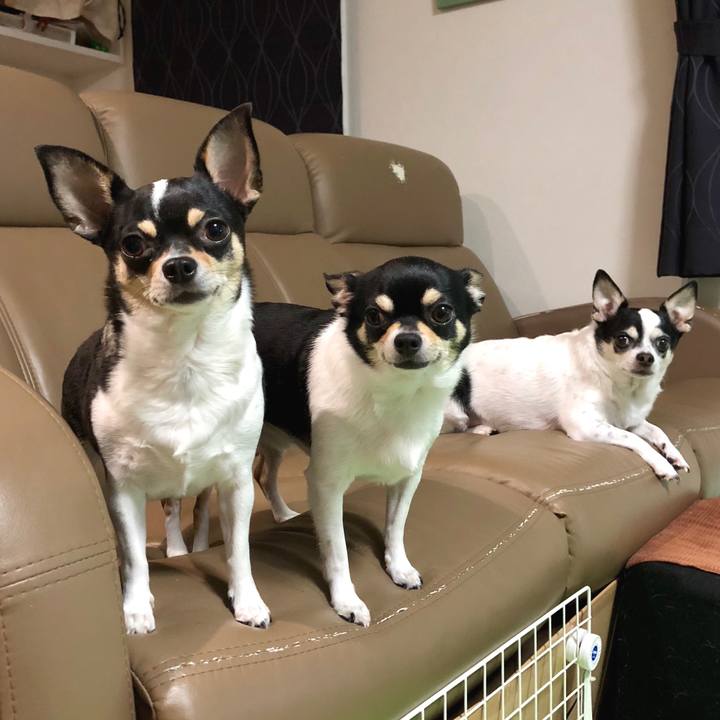 1b24cc74 6e26 45a2 bcc3 eae5da61a553 1537439332287