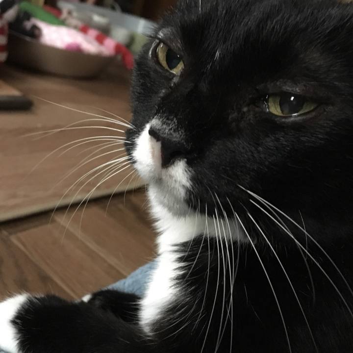 1b24cdfd e35c 4212 be42 3a7b53917ccc 1537249174596