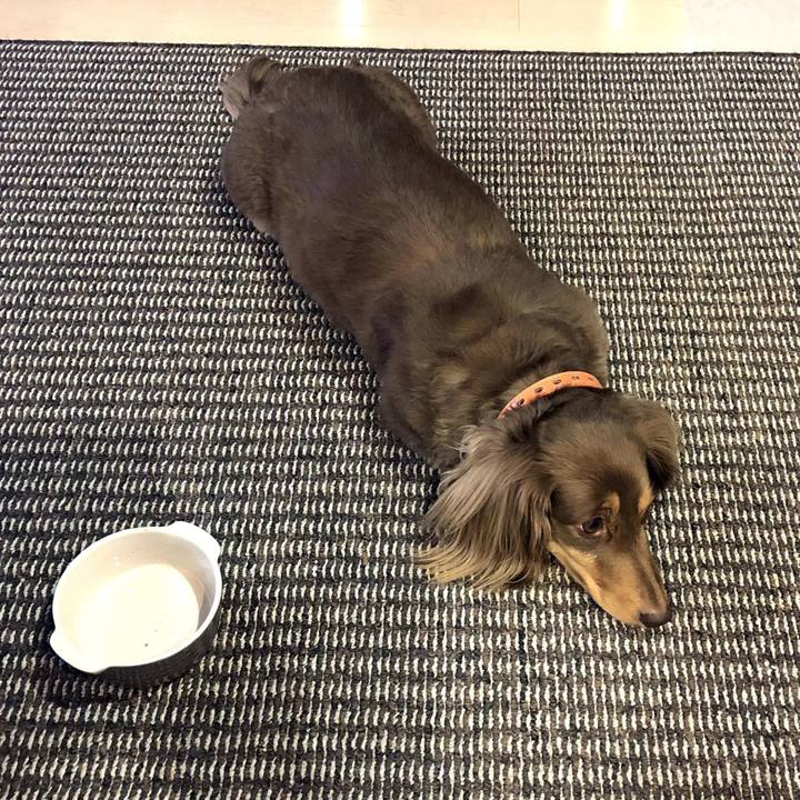 1b256409 e46f 4375 957c f3e7fe86ac8f 1555130427612