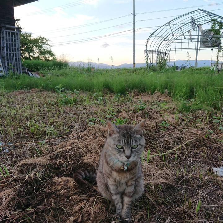 1b25678f c8c3 4c2b 8301 31490f631ed1 1568279413106