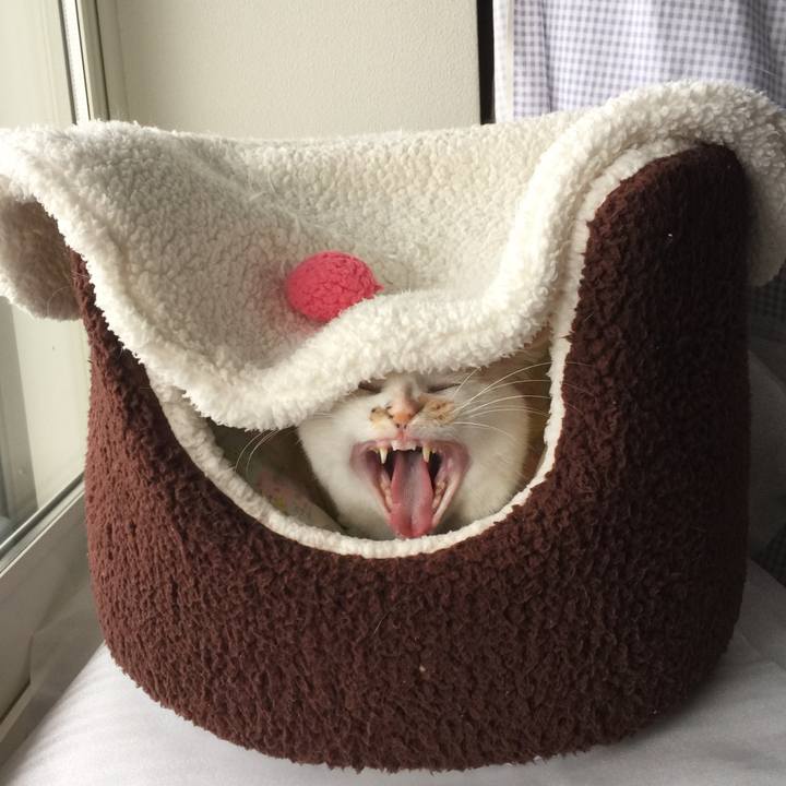 1b257fce 457d 4b31 8af3 9ae06c0d5127 1507968164612