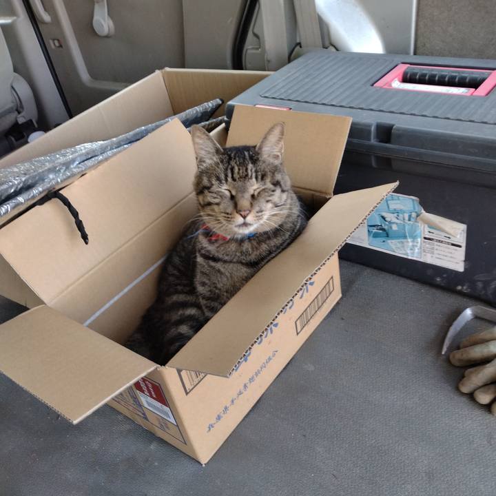 1b25a9e1 865c 4076 bc2f c63e7cb99f7a 1690885373526