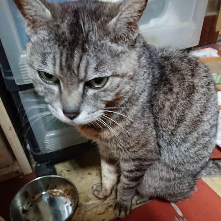 1b25bac9 26a6 4e66 80df ab8a37c5d5d8 1562270432626