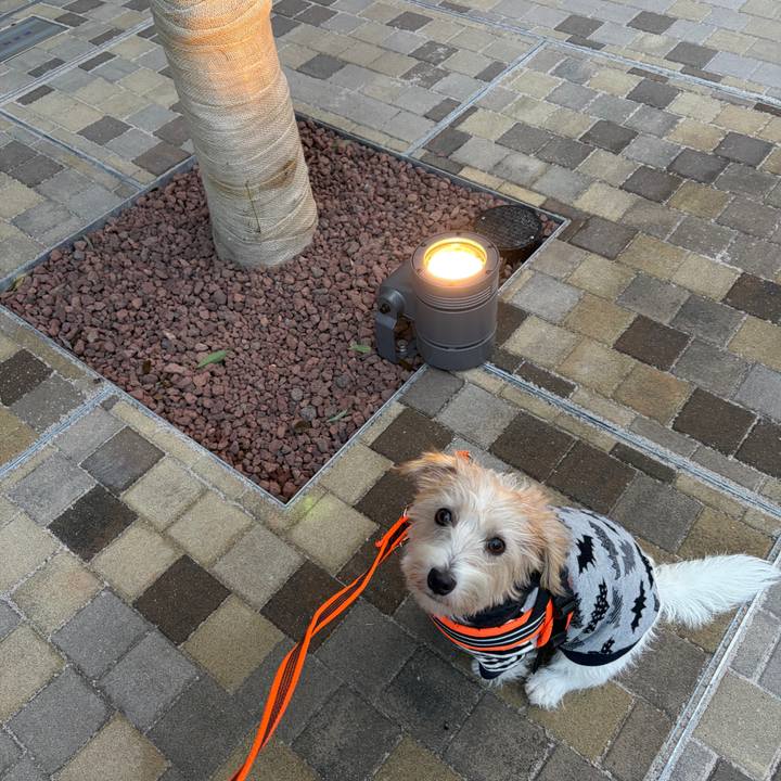 1b260d41 e275 4779 8833 8c8b562354ab 1761261088026