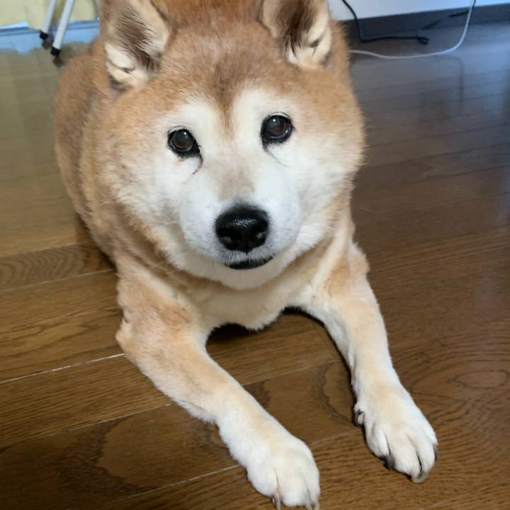 1b261576 0989 4b61 aa5b 6d020cee8b50 1608674512208