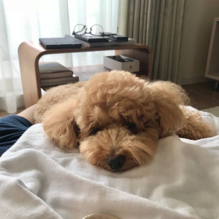 1b26186d e929 4ffa b750 5d2c626f2d90 1530331163898