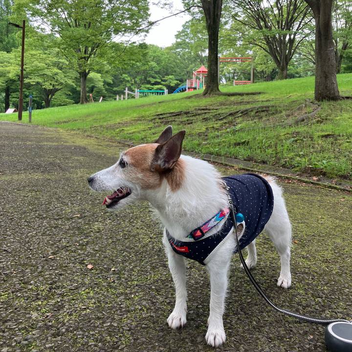 1b263ce7 bc7a 4733 9dcc 213a61fe71c2 1688863354477