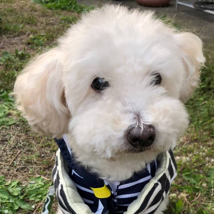 1b26455a eaef 4ac6 8dd3 2a4e4315dab3 1540374493485