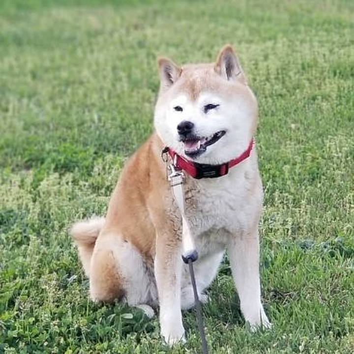 1b266709 5309 43f4 857f 008709a68cb3 1714814450566