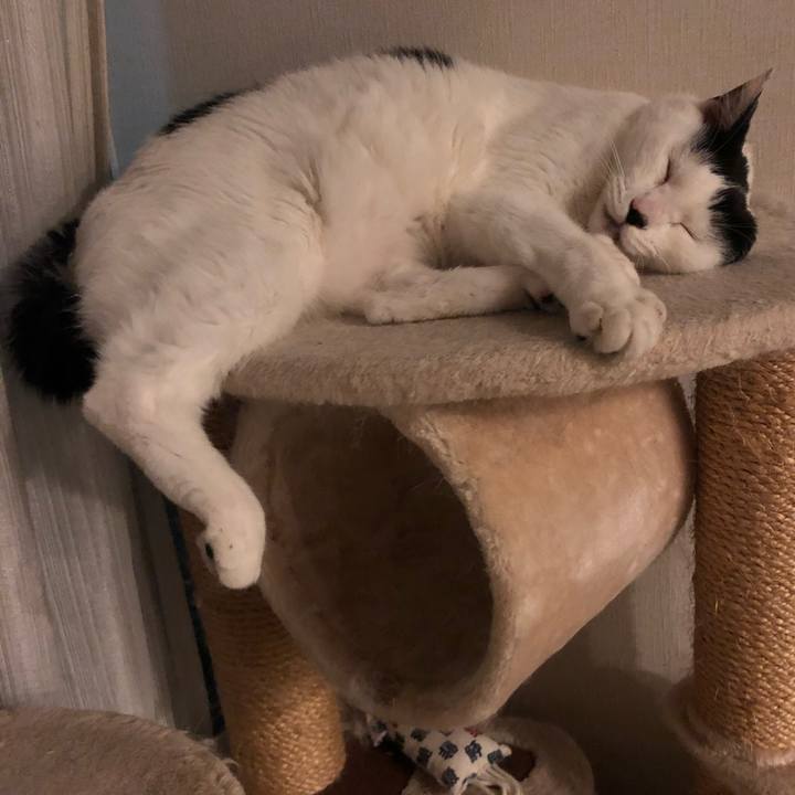 1b269a5e 23f9 41ff ae55 3df8393e16f1 1538921461708