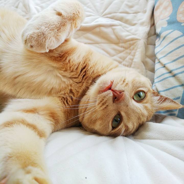 1b26d0c9 4803 4257 b2ff 4d8c0cf091a3 1623983165012