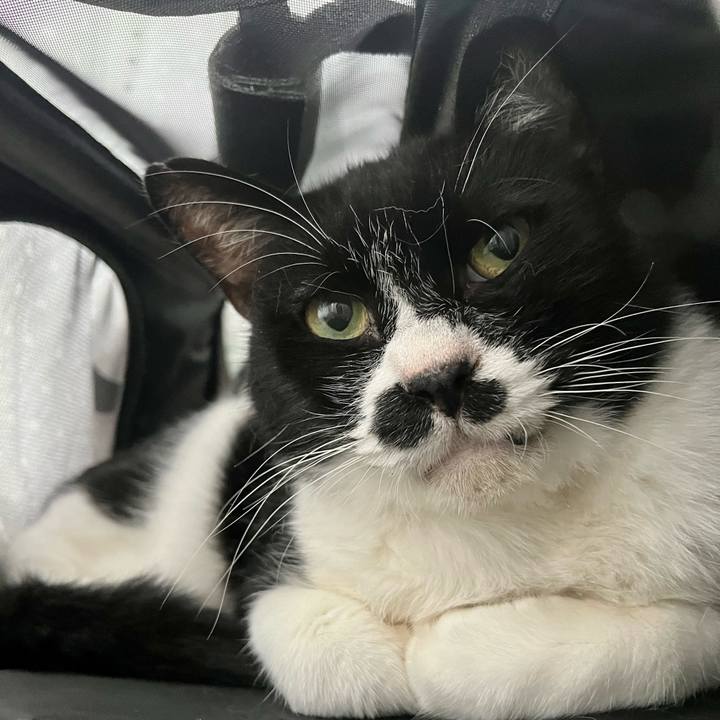 1b26d896 2757 4773 8728 88e014dc6a32 1699481699070