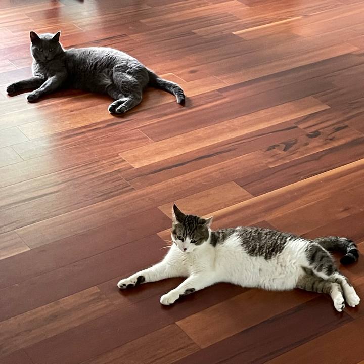 1b26e372 b6a9 4bff b323 00e114ee53dc 1695254798777