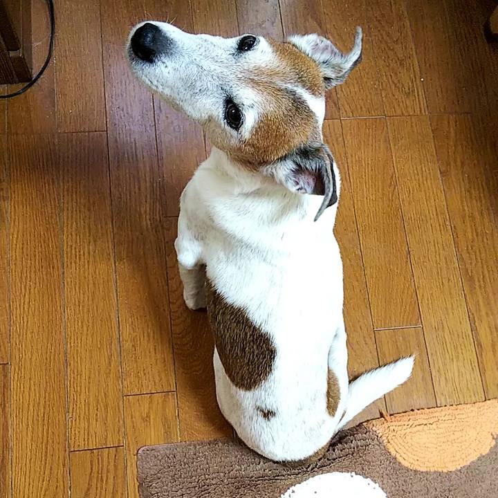 1b26f805 56aa 4b70 ad5a 8782688aaec3 1544829270469