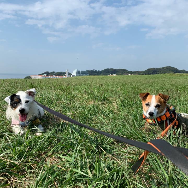 1b271058 46f3 48a6 97f4 040ee95033b1 1601602696577