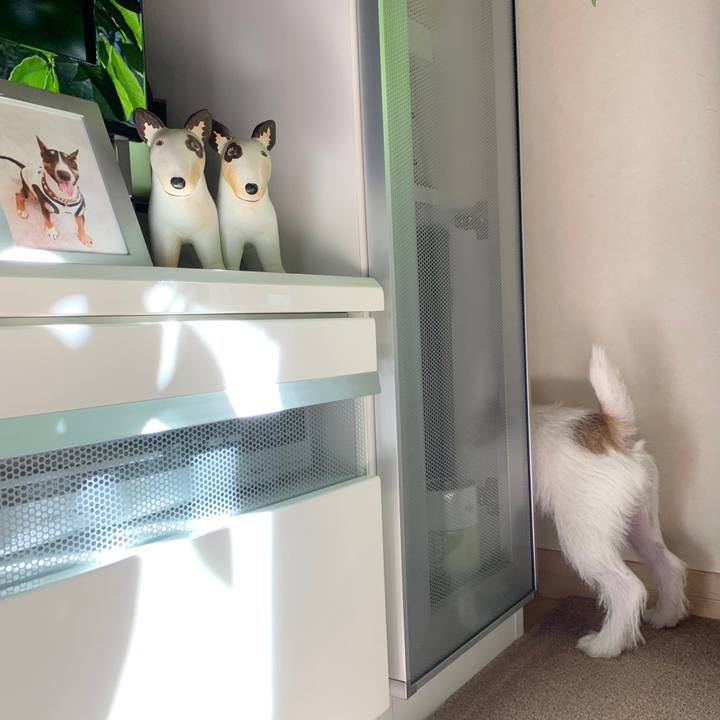 1b275480 954d 460d be48 bd4f0e507c6c 1570166220904