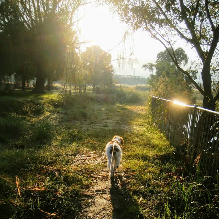 1b27735b e364 403b 96aa fc665054a0b7 1540425535611