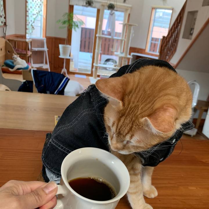 1b2773d3 4fc1 41f9 bc3d 819dbe77b244 1654292547462