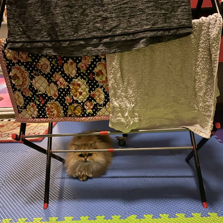 1b278e48 e4c0 4108 b8ce fa5f71c83e87 1572039274492