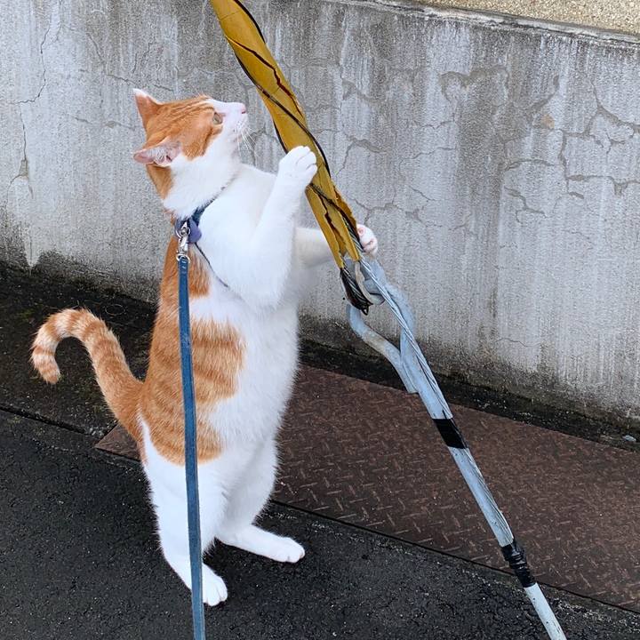 1b27c2f2 799e 4bd3 94c2 e8e107bd265d 1567338349876