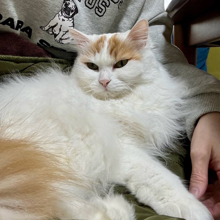 1b27cb1a b2e6 4496 8367 991a30782c6a 1770525632047