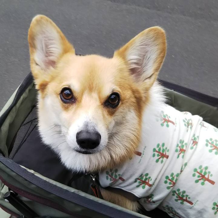 1b27fc13 e50f 4752 b378 3a8d2b48094f 1545467689416