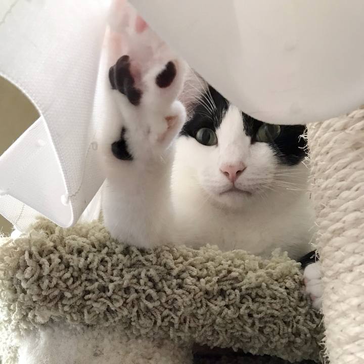 1b28143f 4abb 4b62 b613 cb1148e904bf 1535467064076