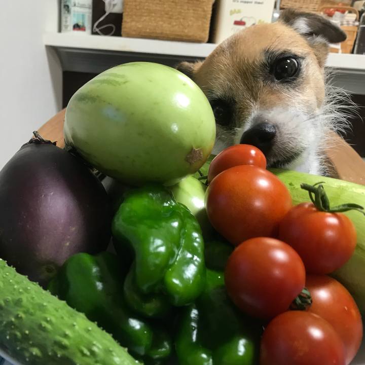 1b2814c5 747e 41ee 83c0 cc69b4d1fea6 1531360016567