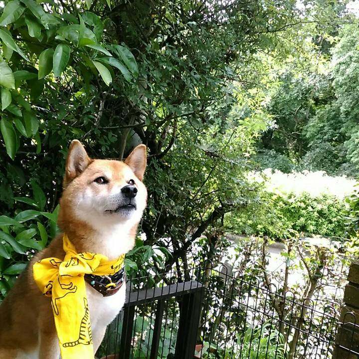 1b282f26 da0d 4146 9c82 e0eaccd63d26 1563942066960