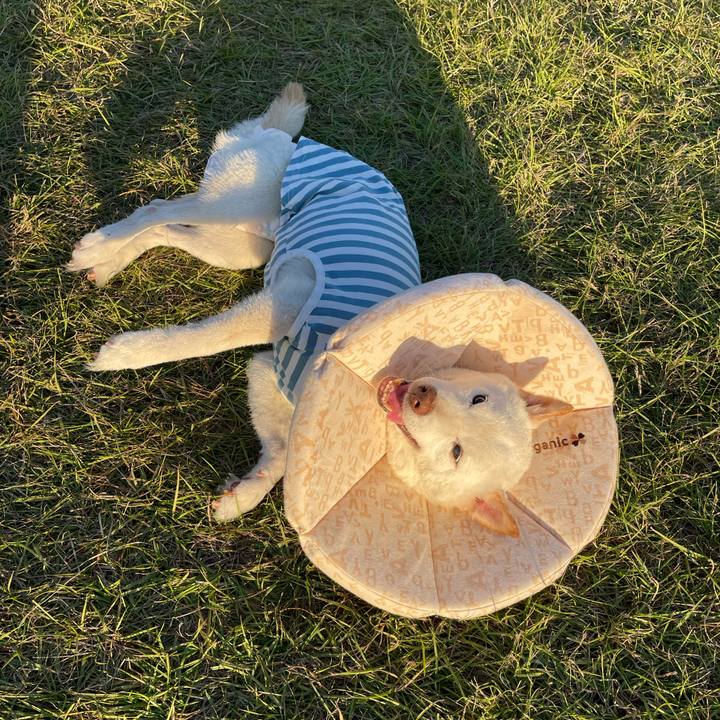 1b28388c f8d1 4b43 93c0 52668391cafe 1667477904792